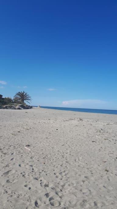 Príroda v okolí vily