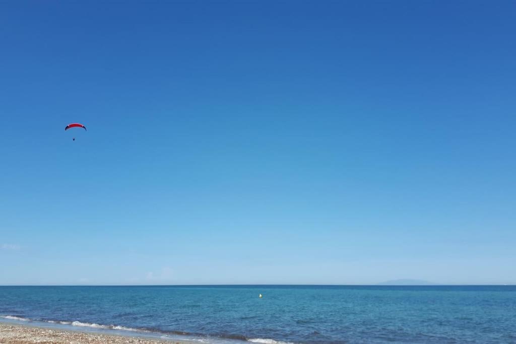 Príroda v okolí vily