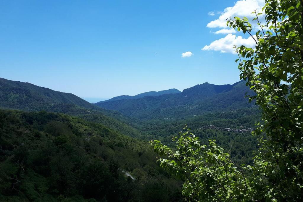 Príroda v okolí vily