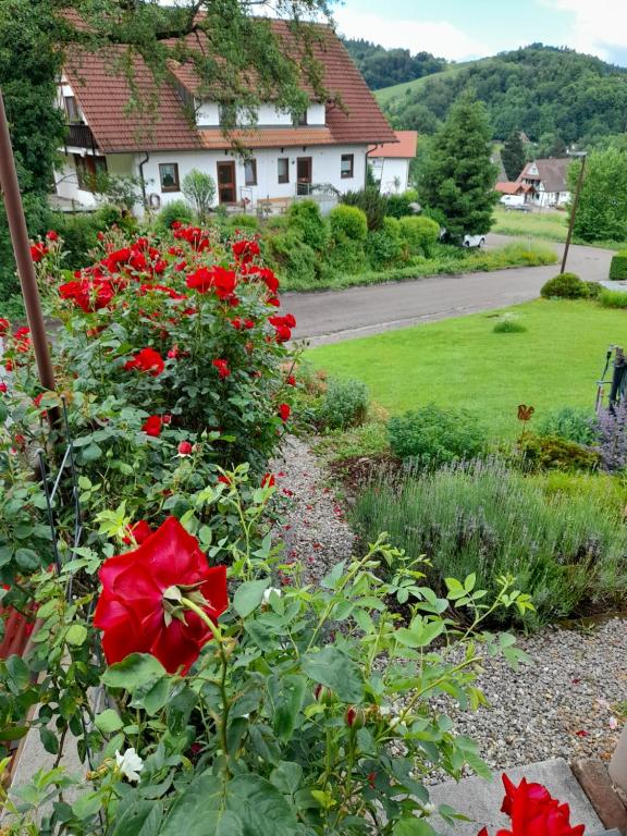 Zahrada ubytování Apartment Rose Sasbachwalden