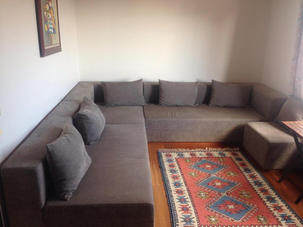 eine graue Couch in einem Wohnzimmer mit einem Teppich in der Unterkunft Private Room in Istanbul #55 in Istanbul
