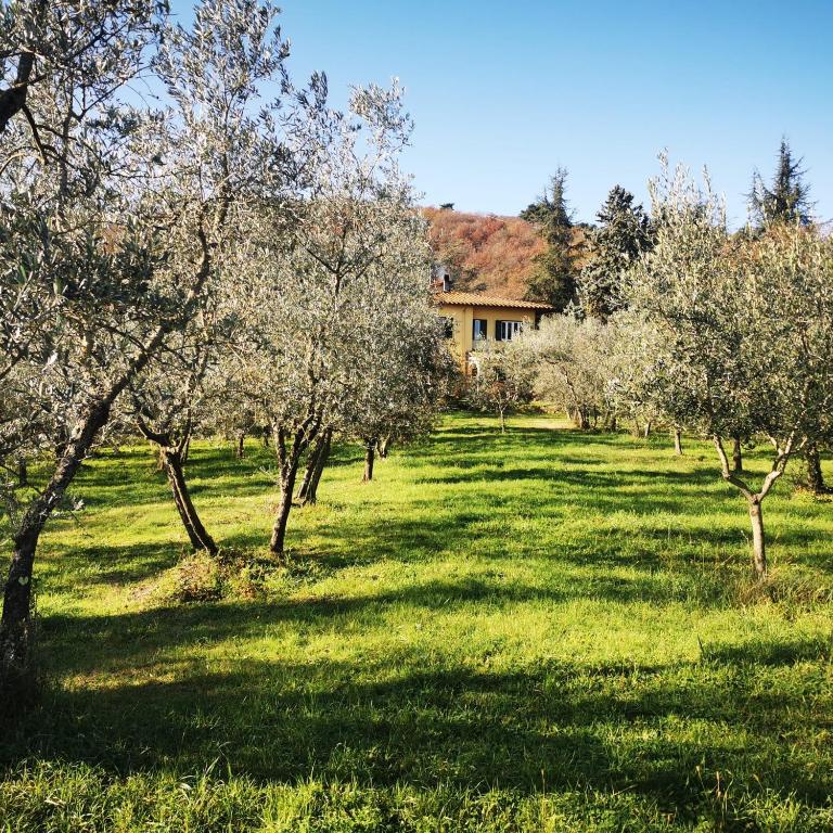 Podere delle Arti