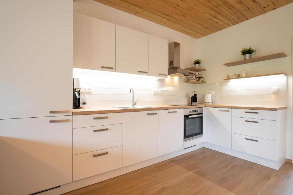 Kuchyň nebo kuchyňský kout v ubytování Apartmány Na šumavské louce