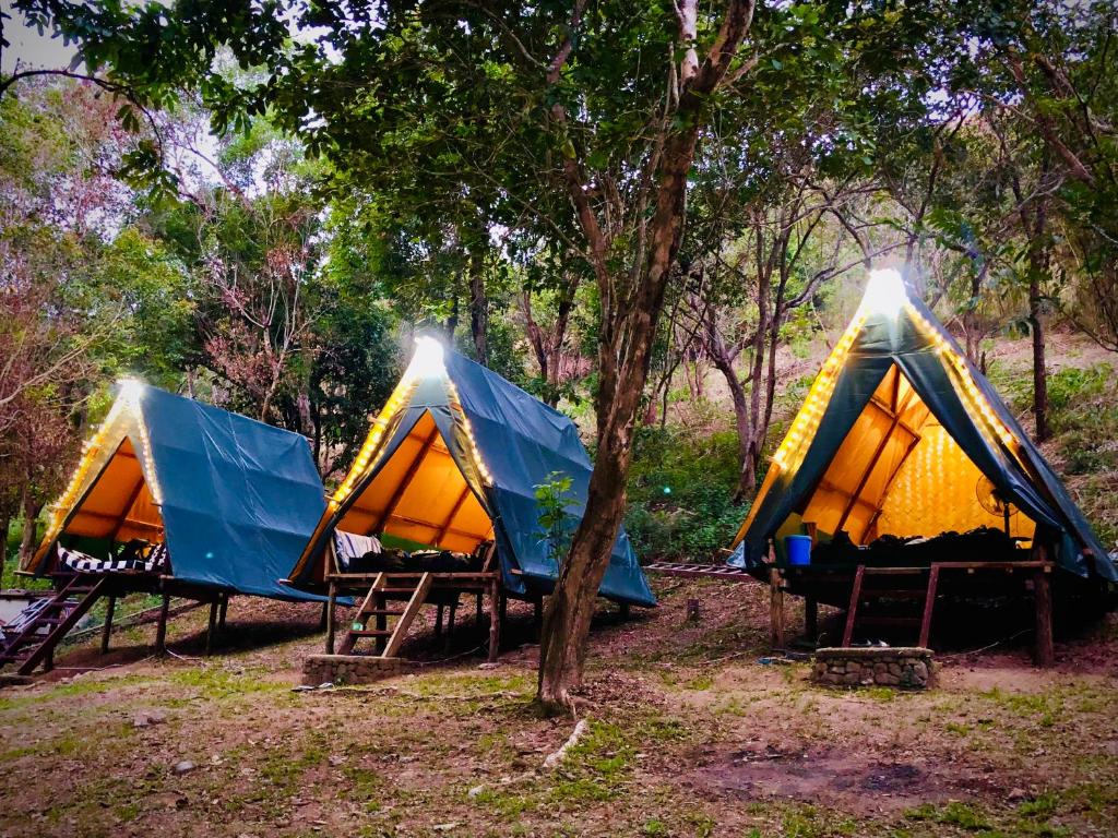 un grupo de tres tiendas sentadas en el bosque en Mount Avangan Eco Adventure Park, en Corón