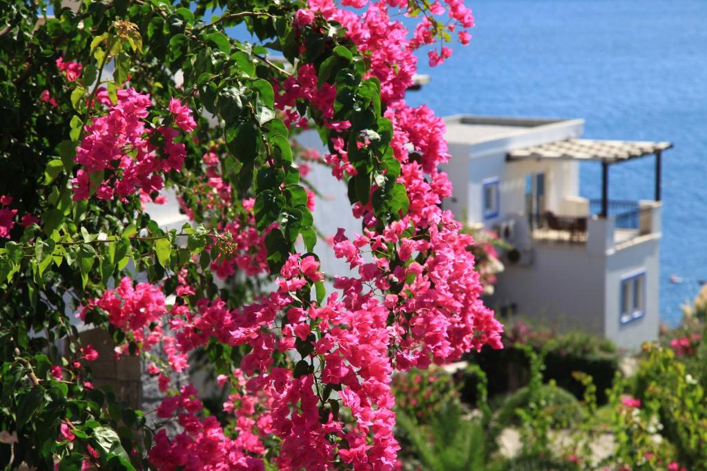 A garden outside Aktur Residence