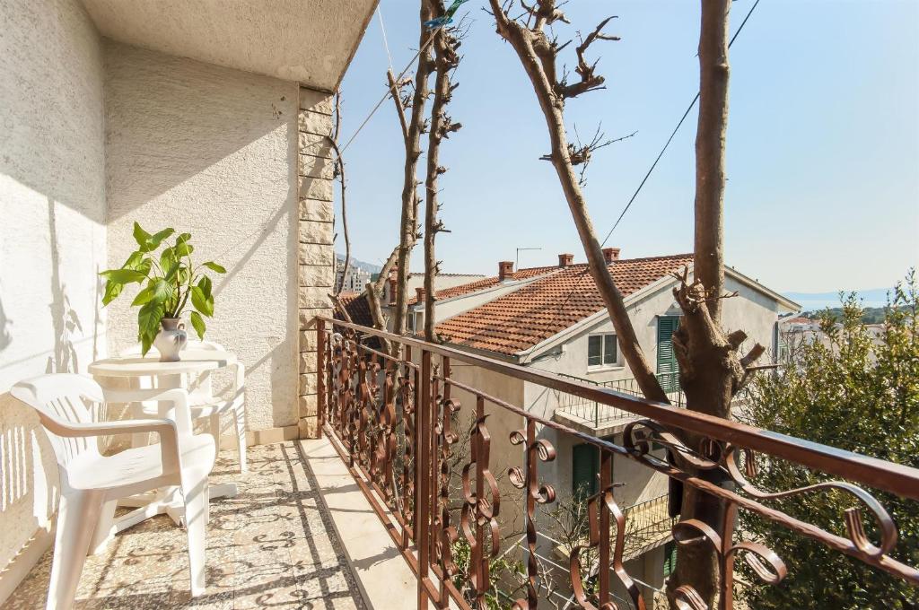 Příroda nedaleko apartmánu