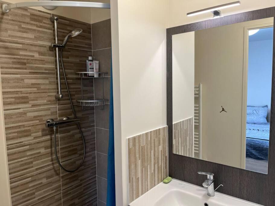 a bathroom with a sink and a shower with a mirror at Appartement de Romainville in Romainville