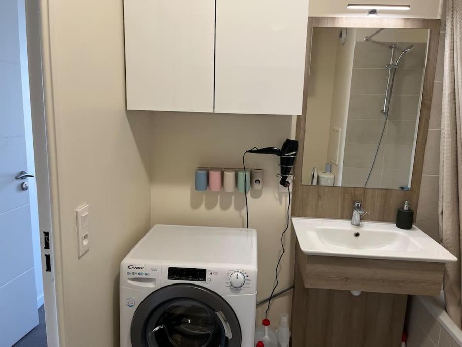 a small bathroom with a washing machine and a sink at Appartement de Romainville in Romainville