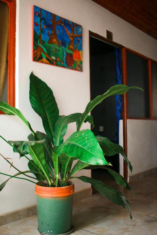 Fotografie z fotogalerie ubytování Casa Pacha v destinaci Guaduas