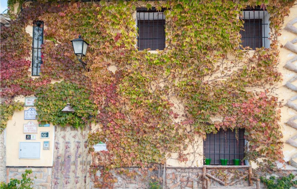 an ivy covered building with windows and a street light at Awesome Home In Arenas Del Rey With Wifi in Arenas del Rey