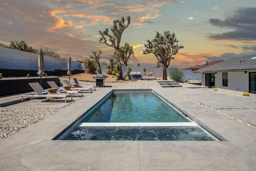 GazerRanch JOSHUA TREE