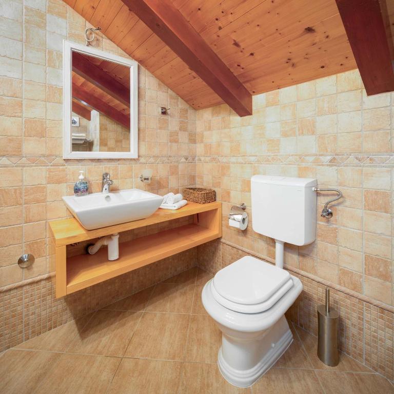 a bathroom with a toilet and a sink at Apartment Zlendic in Gornje Selo