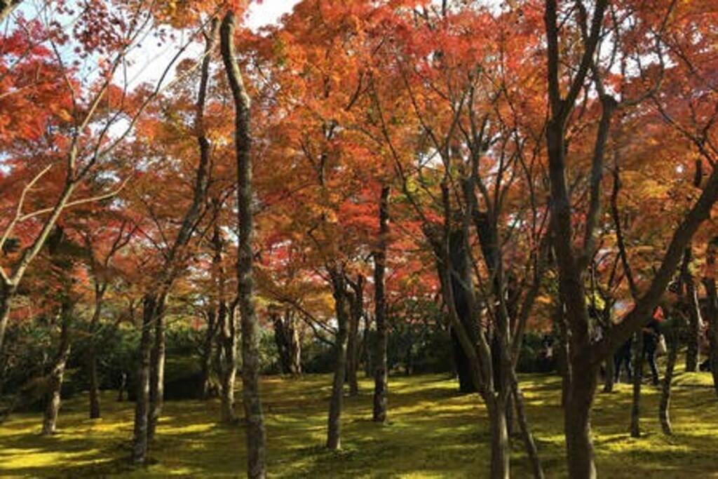 Zahrada ubytování EK House Hakone Shushinso 箱根修身荘
