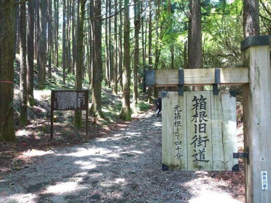 Fotografie z fotogalerie ubytování EK House Hakone Shushinso 箱根修身荘 v destinaci Onsensō