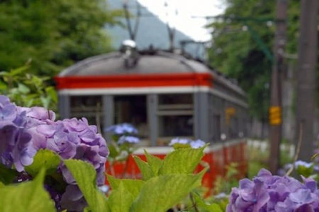 Zahrada ubytování EK House Hakone Shushinso 箱根修身荘