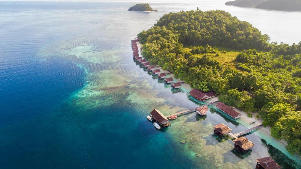 Pulau BirieにあるPapua Paradise Eco Resortの海上の島の空中
