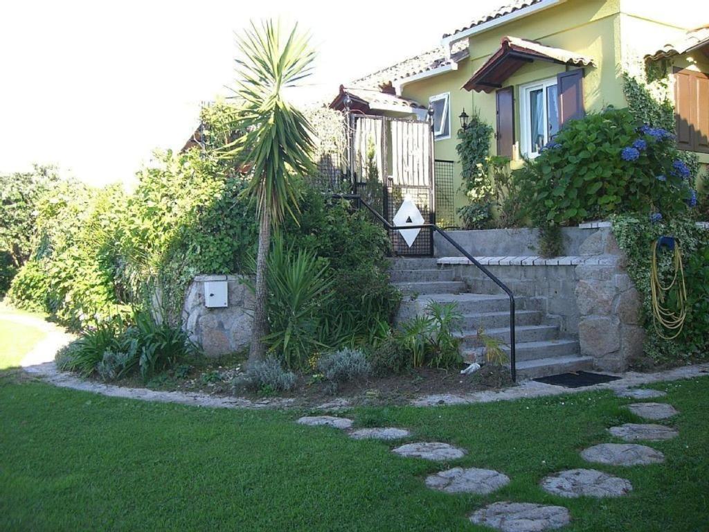 a house with stairs and a palm tree in the yard at House - 2 Bedrooms with WiFi - 00117 in Bueu