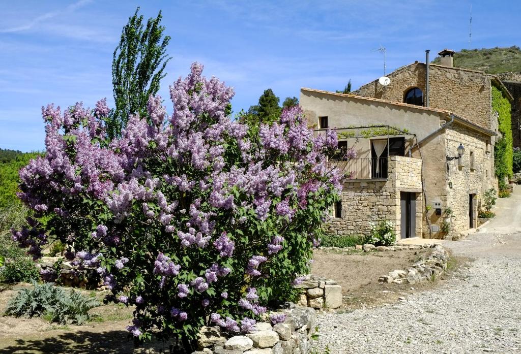 un arbusto de flores púrpuras frente a un edificio en Ca L'Olier, en Montblanquet