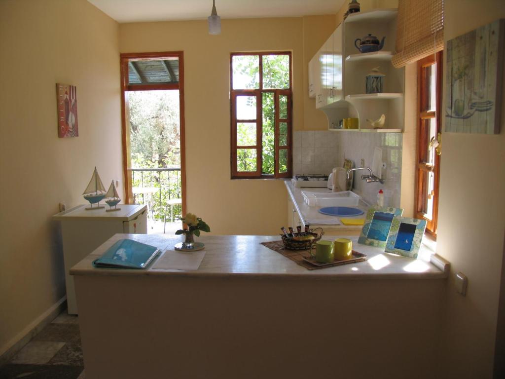 A kitchen or kitchenette at Pasha Apart Hotel