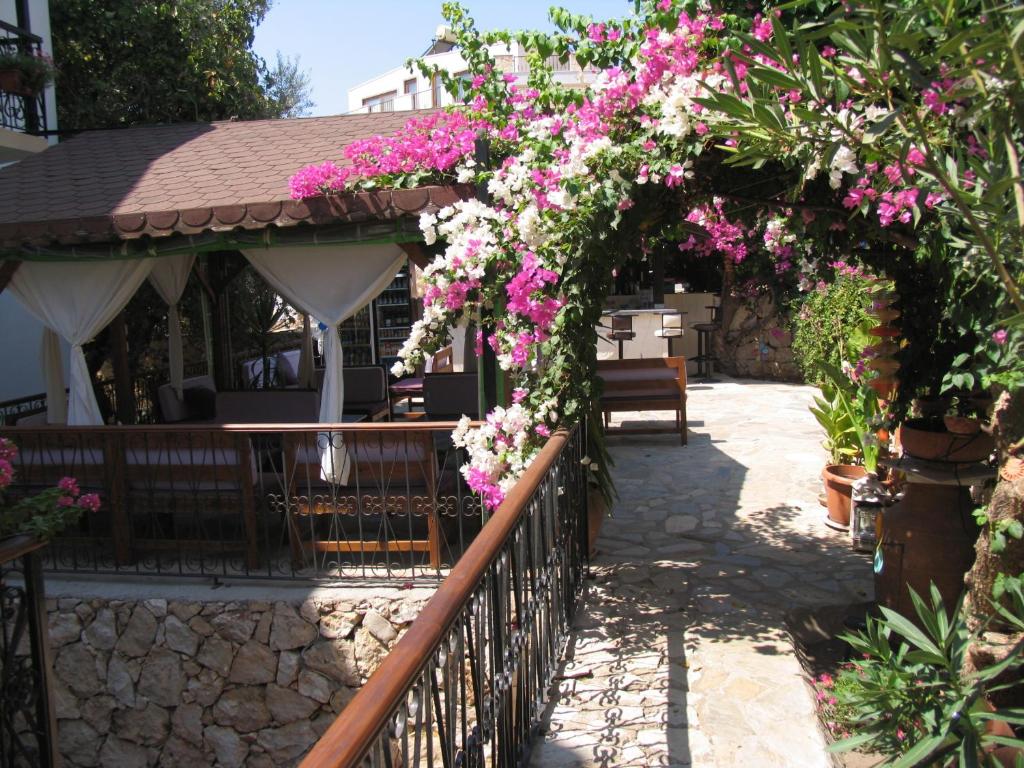 A garden outside Pasha Apart Hotel