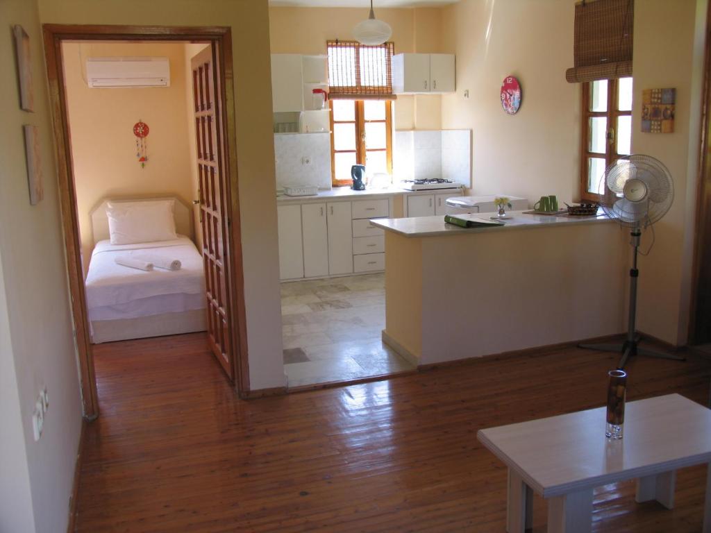 A kitchen or kitchenette at Pasha Apart Hotel