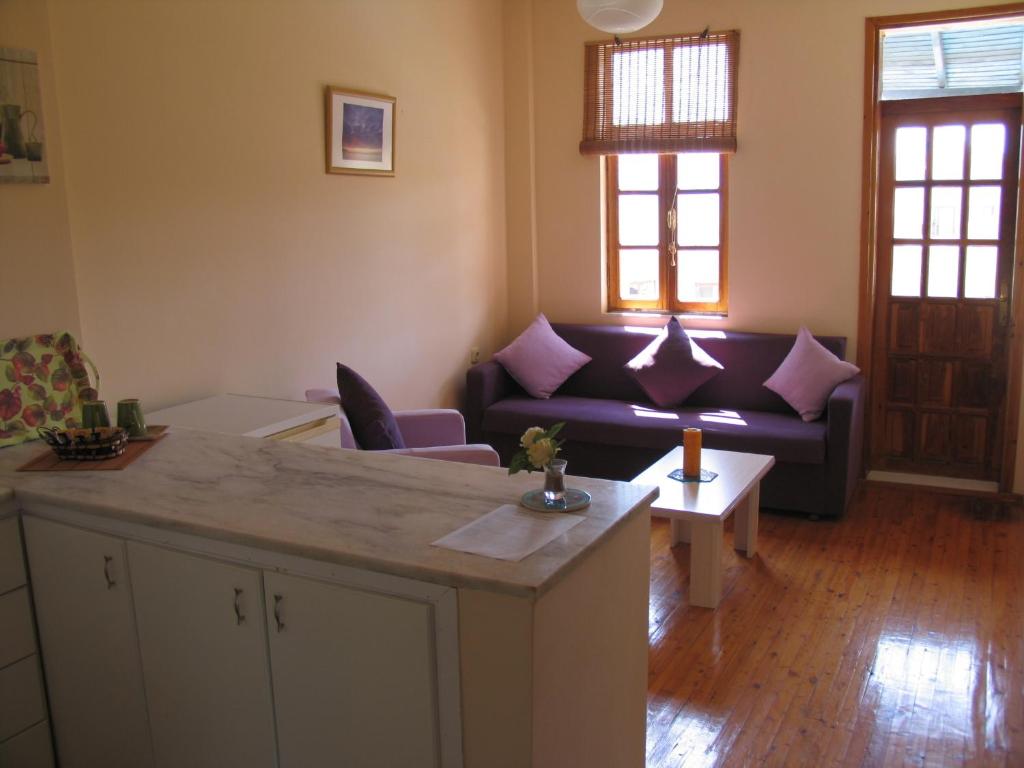 A seating area at Pasha Apart Hotel