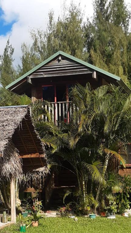 a house with a palm tree in front of it at B & Bee Wild Island - Nature Song in Fare