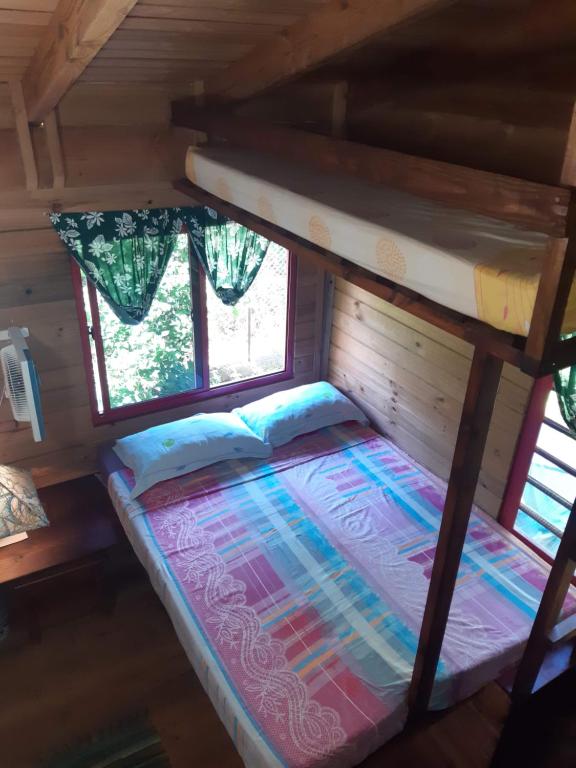 a bunk bed in a tiny house at B & Bee Wild Island - Nature Song in Fare