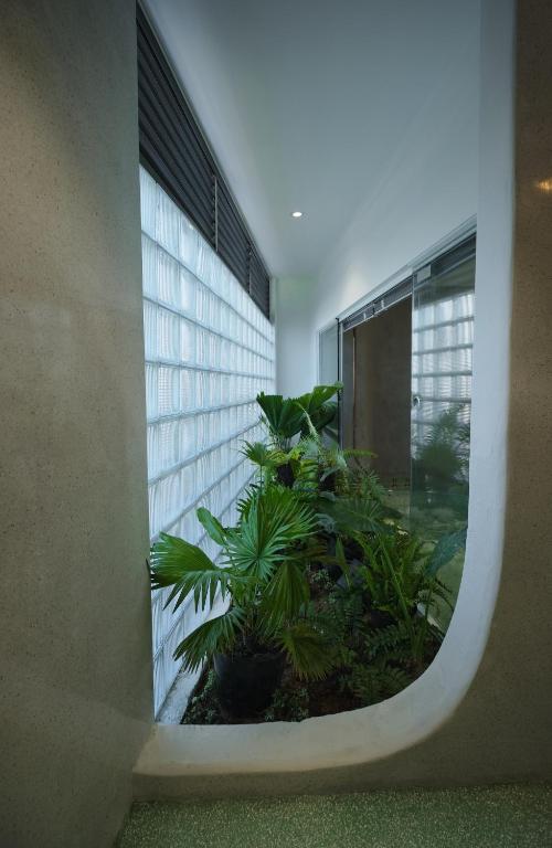 Barbados Cherry Villa - 10