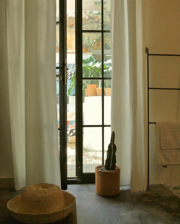 FIXIE LOFTS - Colonial Villa Suites with Pool - Apartment Mit Gartenblick