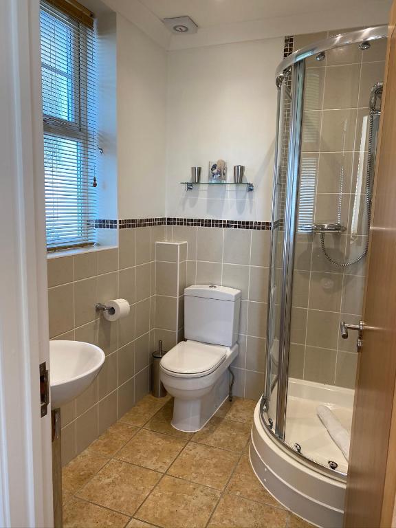 a bathroom with a toilet and a sink and a shower at Southover Beach in Woolacombe