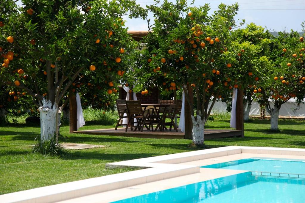 a swimming pool in a yard with orange trees at Neriana Villa - Garden Paradise in Chania Town