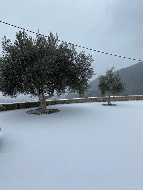 Αρχοντικό Γκιντώνη v zime