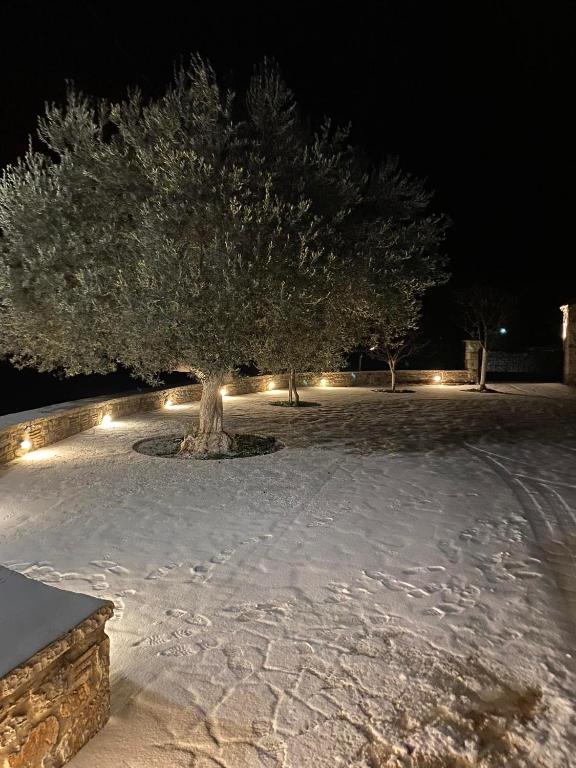 Αρχοντικό Γκιντώνη v zime