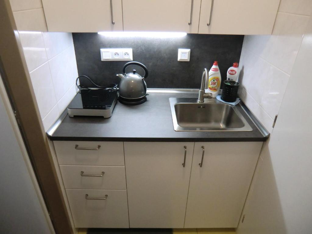 Kuchyň nebo kuchyňský kout v ubytování Apartmány Karlov pod Pradědem