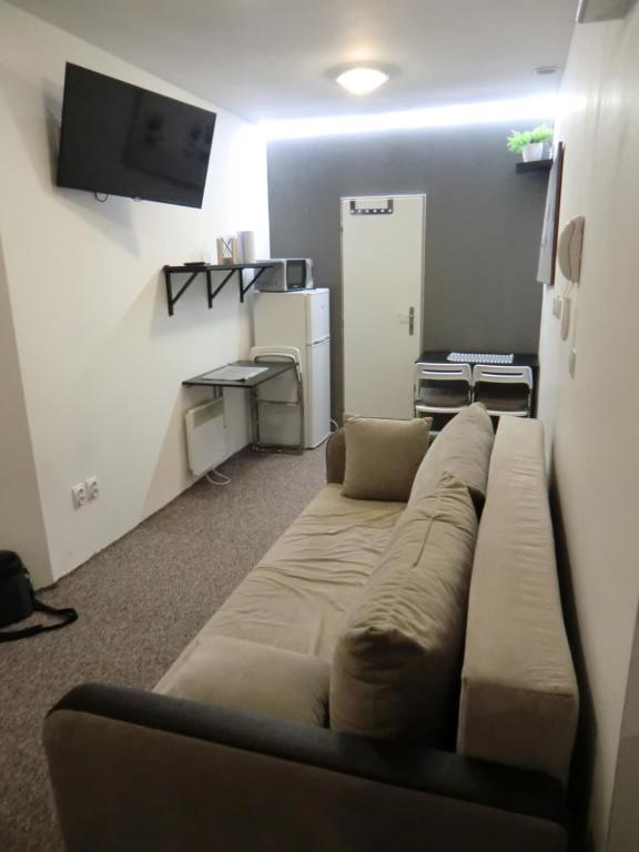 TV a/nebo společenská místnost v ubytování Apartmány Karlov pod Pradědem