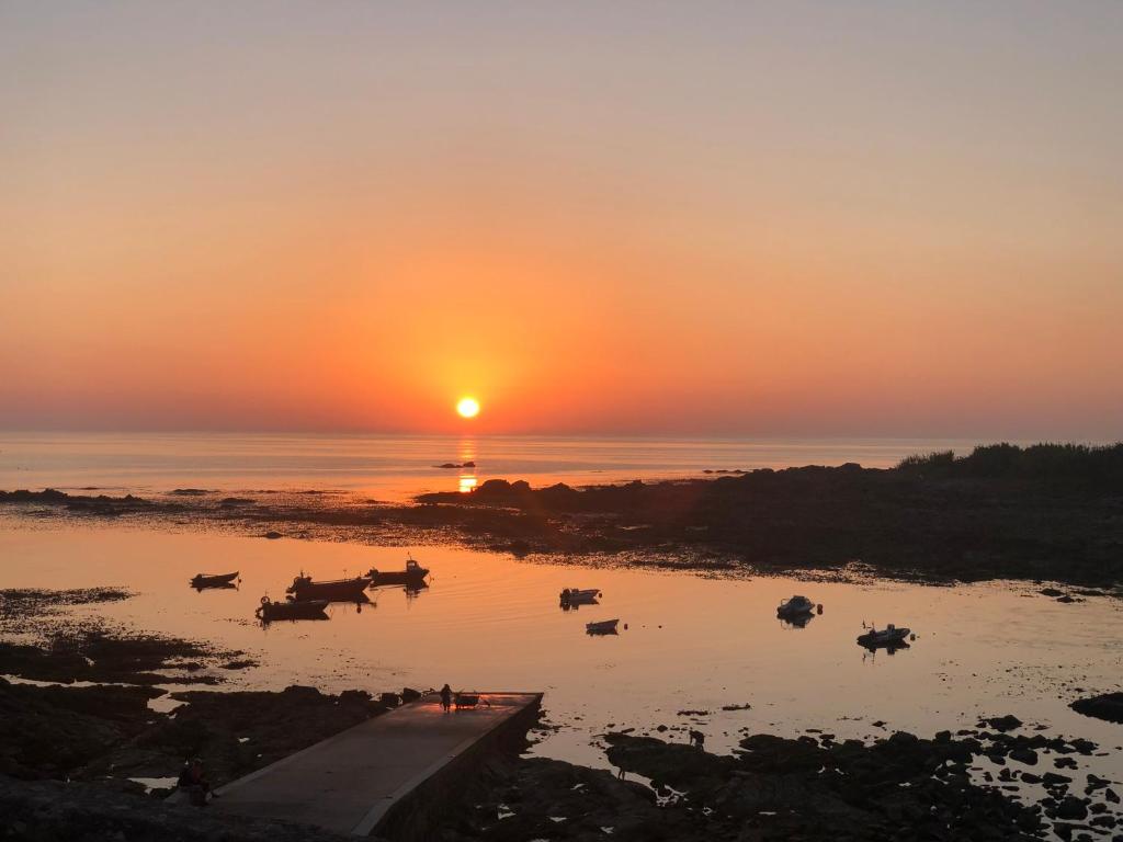 a group of animals in the water at sunset at Casa Arrabal in Oia