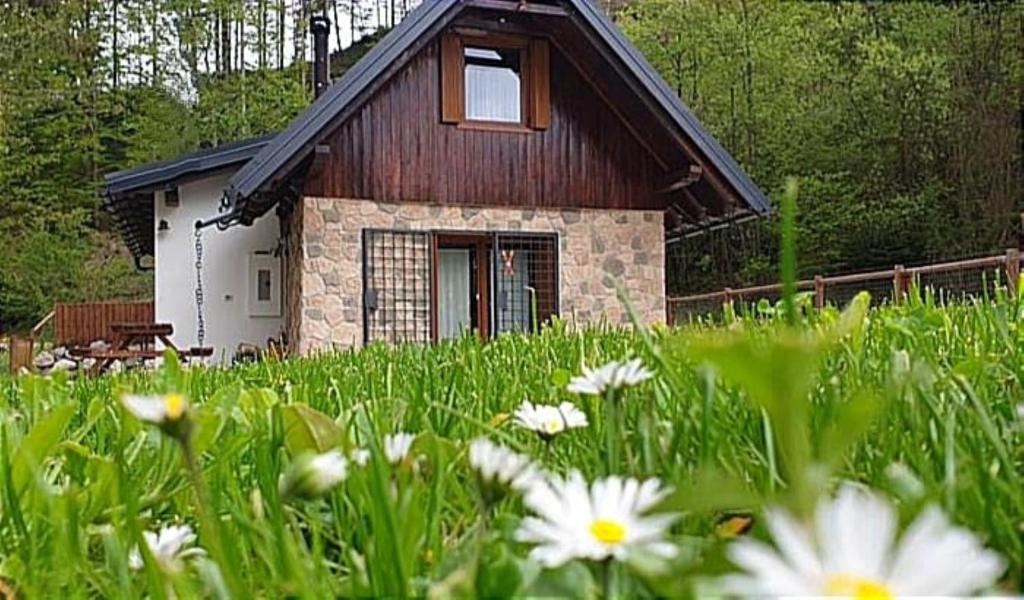 a house in a field with flowers in front of it at la LUNA delle MONTAGNE Charme & SPA Chalet in Tarvisio