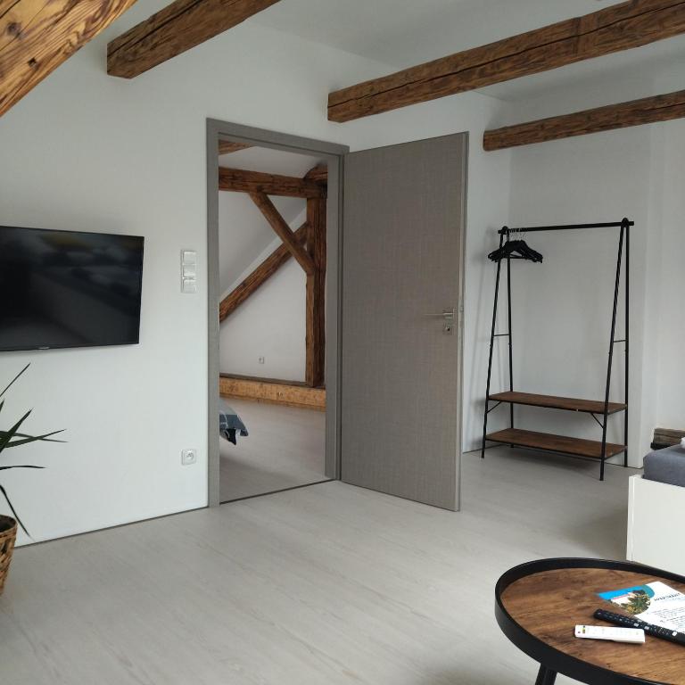TV a/nebo společenská místnost v ubytování Apartmány s výhledem na zámek