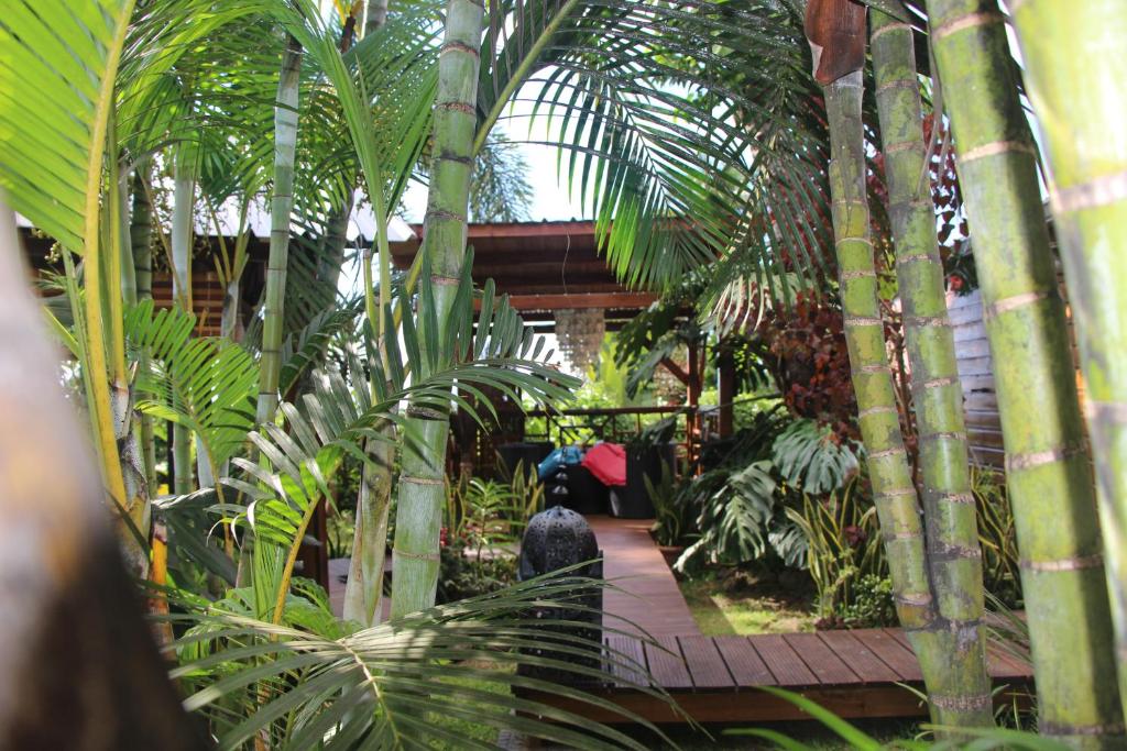 un jardin avec des palmiers et une personne avec un parasol dans l'établissement Lodge Ylang Ylang, LIANE DE JADE 974 -piscine - jacuzzi privatif, à Le Bois de Nèfles