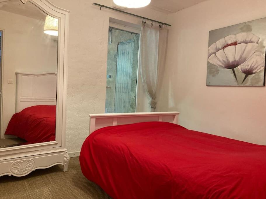 sypialnia z czerwonym łóżkiem i lustrem w obiekcie Petite Maison en Provence w mieście Plaisians