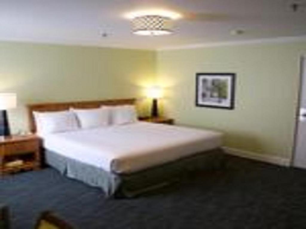 The University Inn at Emory - Deluxe King Room Met Eigen Badkamer