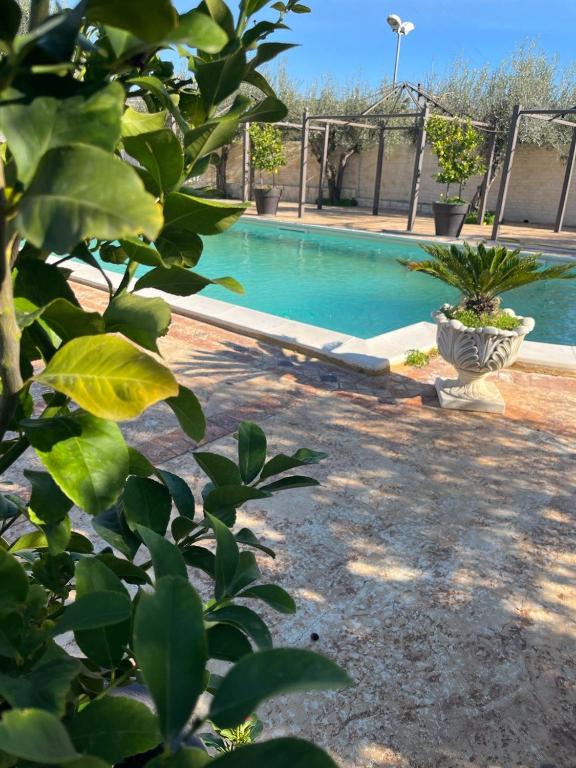 Al cavaliere apartment