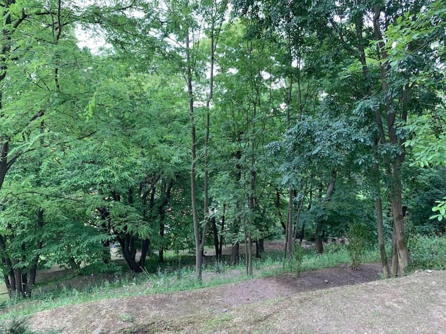 Příroda nedaleko apartmánu