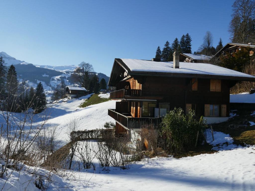 Apartment Chalet Grindelwaldgletscher by Interhome, Grindelwald