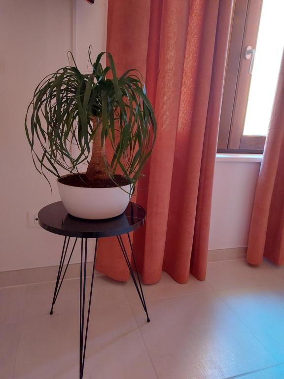B & B Piazza Angioina - Habitación Doble Con Baño Externo Privado
