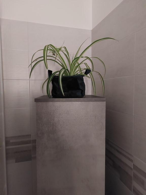 B & B Piazza Angioina - Habitación Doble Con Baño Privado