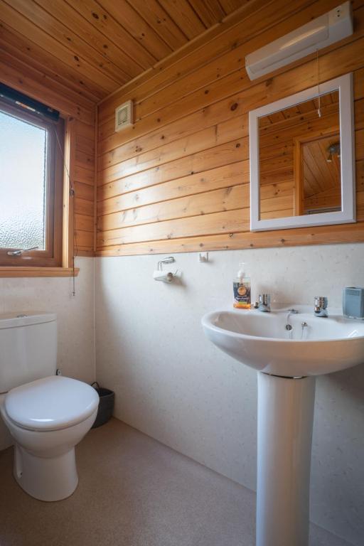 Koupelna v ubytování Chalet Loch Leven Lodge 10 by Interhome