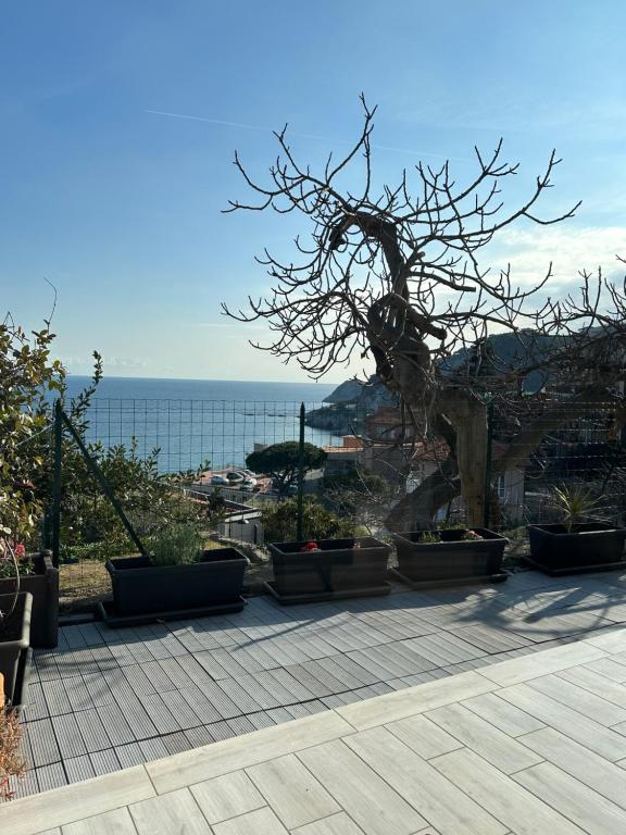 a group of potted plants sitting on a patio at Casa del sasso in Bergeggi