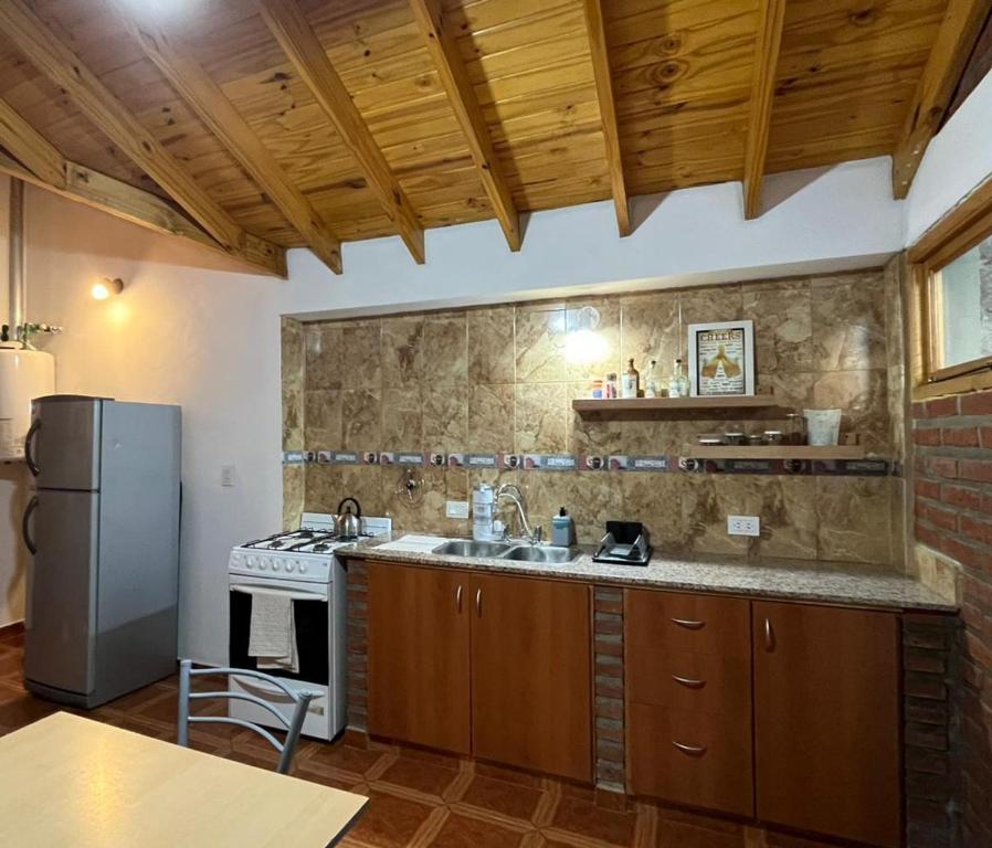 a kitchen with a refrigerator and a sink and a stove at Araucarias Apart in Esquel